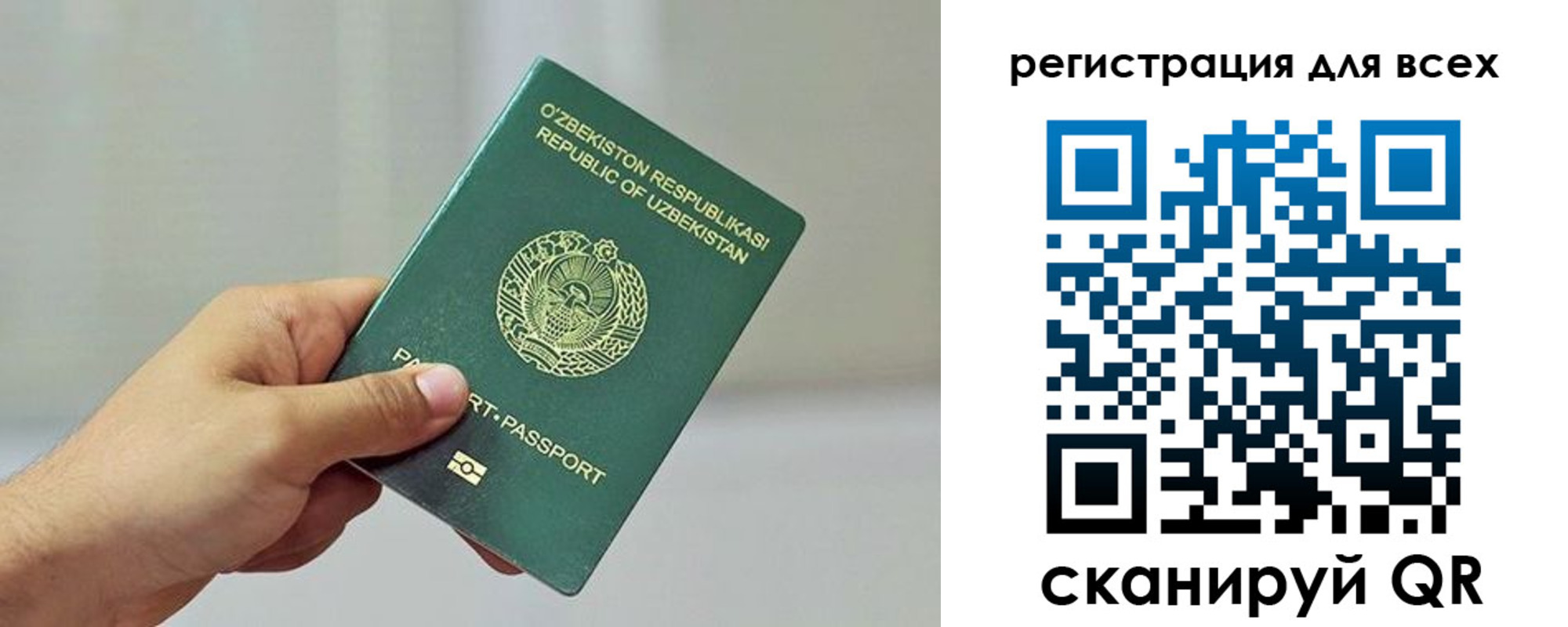 временная регистрация поиск в Камчатской области