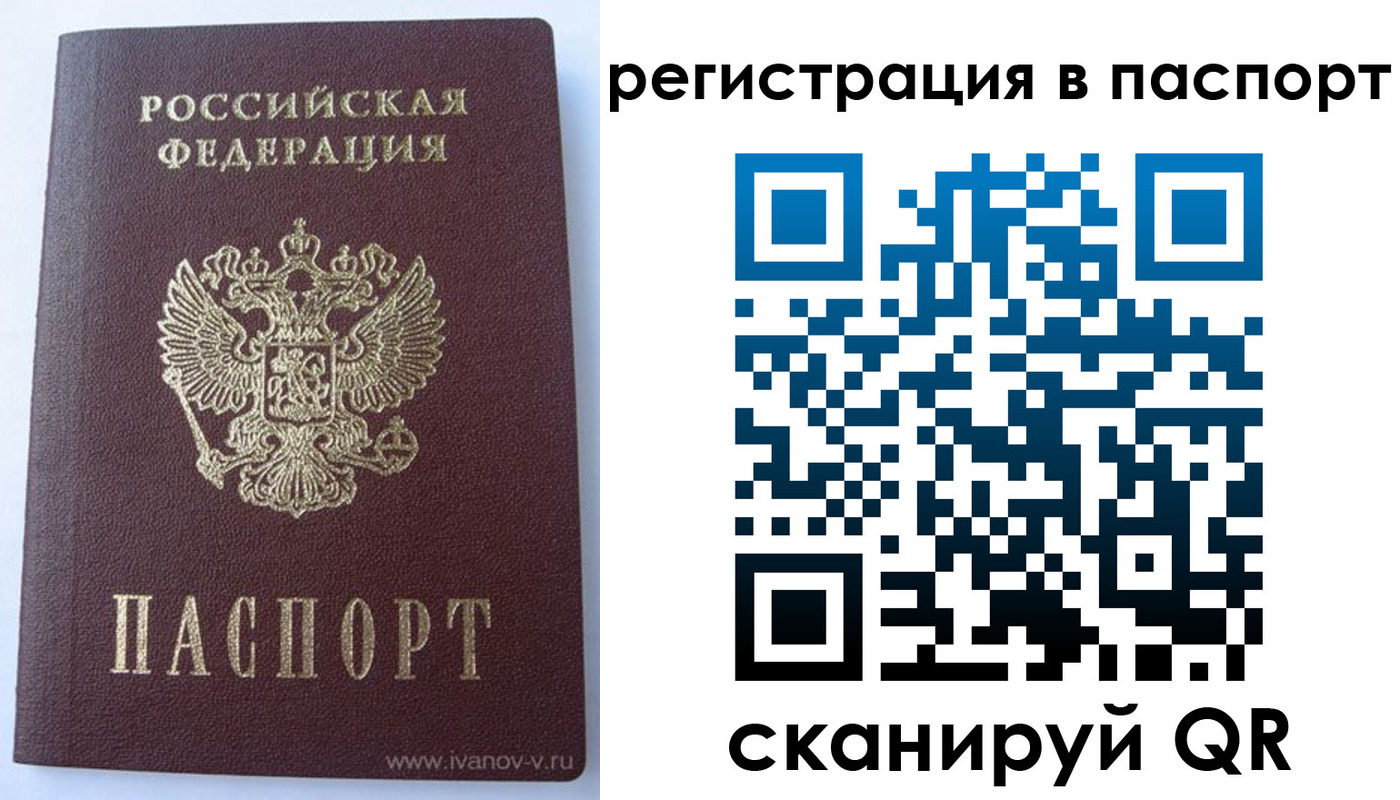 прописка поиск в Камчатской области