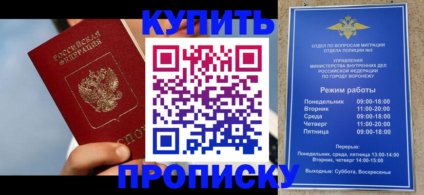 временная регистрация адрес в Камчатской области